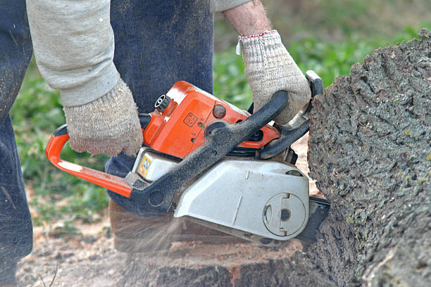 Mulching Services in Northampton, PA